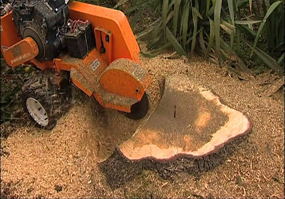 Stump Grinder for Sale